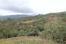 Comunidad se une para recuperar ambientalmente terrenos afectados por ocupaciones ilegales