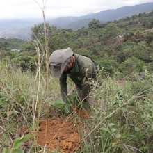 Comunidad se une para recuperar ambientalmente terrenos afectados por ocupaciones ilegales