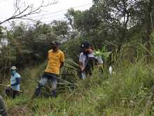 Comunidad se une para recuperar ambientalmente terrenos afectados por ocupaciones ilegales