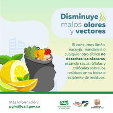 Planeaci&oacute;n Distrital adelanta acciones para la correcta disposici&oacute;n y recolecci&oacute;n de residuos s&oacute;lidos