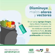 Planeaci&oacute;n Distrital adelanta acciones para la correcta disposici&oacute;n y recolecci&oacute;n de residuos s&oacute;lidos