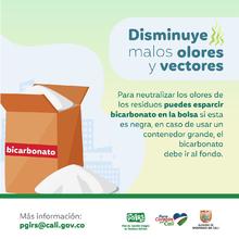 Planeaci&oacute;n Distrital adelanta acciones para la correcta disposici&oacute;n y recolecci&oacute;n de residuos s&oacute;lidos
