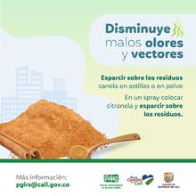 Planeaci&oacute;n Distrital adelanta acciones para la correcta disposici&oacute;n y recolecci&oacute;n de residuos s&oacute;lidos