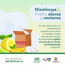 Planeaci&oacute;n Distrital adelanta acciones para la correcta disposici&oacute;n y recolecci&oacute;n de residuos s&oacute;lidos