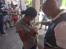 Jornadas de vacunaci&oacute;n contra la rabia para caninos y felinos 