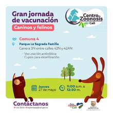 Jornadas de vacunaci&oacute;n contra la rabia para caninos y felinos 