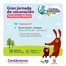 Jornadas de vacunaci&oacute;n contra la rabia para caninos y felinos 