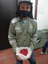 Dagma contin&uacute;a promoviendo taller de Agrocultura en la ciudad