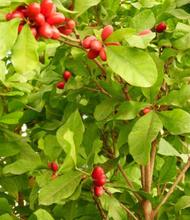 Dagma contin&uacute;a promoviendo taller de Agrocultura en la ciudad