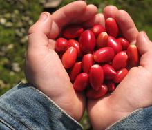 Dagma contin&uacute;a promoviendo taller de Agrocultura en la ciudad