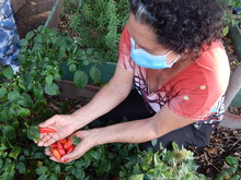 Dagma contin&uacute;a promoviendo taller de Agrocultura en la ciudad