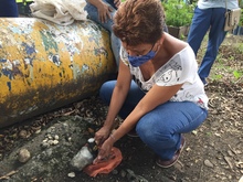 Dagma contin&uacute;a promoviendo taller de Agrocultura en la ciudad