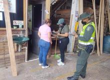 Sector maderero de Cali cada vez asume mejores pr&aacute;cticas ambientales