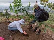 Inici&oacute; la recuperaci&oacute;n ambiental del Predio La Olga