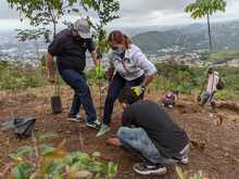 Inici&oacute; la recuperaci&oacute;n ambiental del Predio La Olga