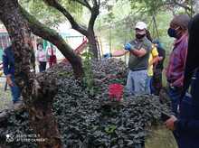 Hogar de Paso para animales silvestres, Calidad de vida, cuidado y protecci&oacute;n