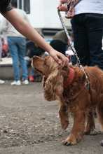 En &lsquo;Salud al Barrio&rsquo; el turno fue para El Municipal