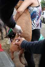 En &lsquo;Salud al Barrio&rsquo; el turno fue para El Municipal