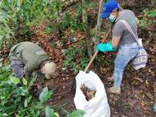 Jornada de recuperaci&oacute;n ecol&oacute;gica en el cerro de la bandera  