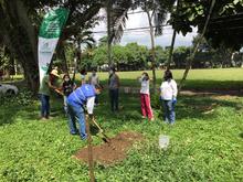 La Agricultura Urbana una acci&oacute;n de amor por Cali