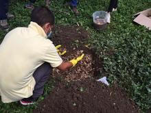 La Agricultura Urbana una acci&oacute;n de amor por Cali