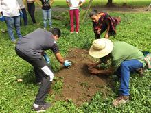 La Agricultura Urbana una acci&oacute;n de amor por Cali