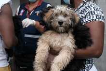 Salud P&uacute;blica de Cali llega a las escuelas con servicios extramurales