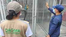 Dagma rescata guacamaya en conjunto residencial al sur de Cali
