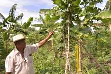 Alimentos org&aacute;nicos, la apuesta de los agricultores de &lsquo;La Gloria&rsquo; en el mercado campesino 