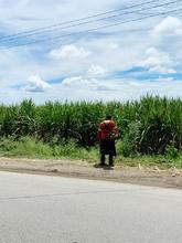 Administraci&oacute;n Distrital adelant&oacute; jornada de mantenimiento vial y recolecci&oacute;n de escombros en El Hormiguero