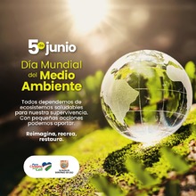 D&iacute;a Mundial del Medio Ambiente: &iexcl;Reconcili&eacute;monos con la naturaleza! 