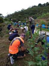 D&iacute;a Mundial del Medio Ambiente: &iexcl;Reconcili&eacute;monos con la naturaleza! 