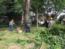 D&iacute;a Mundial del Medio Ambiente: &iexcl;Reconcili&eacute;monos con la naturaleza! 