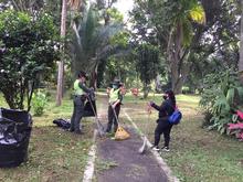 D&iacute;a Mundial del Medio Ambiente: &iexcl;Reconcili&eacute;monos con la naturaleza! 