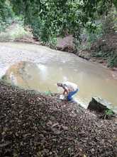 Con jornada de recuperaci&oacute;n del r&iacute;o Lili se conmemora el D&iacute;a del Medio Ambiente