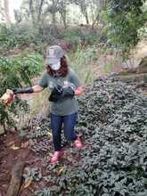 Con jornada de recuperaci&oacute;n del r&iacute;o Lili se conmemora el D&iacute;a del Medio Ambiente