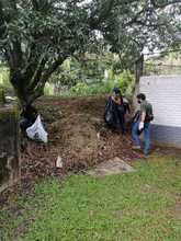 Con jornada de recuperaci&oacute;n del r&iacute;o Lili se conmemora el D&iacute;a del Medio Ambiente