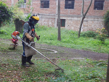 En el D&iacute;a Mundial del Medio Ambiente: una Cali que se levanta por la vida