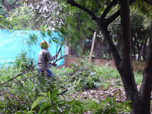 En el D&iacute;a Mundial del Medio Ambiente: una Cali que se levanta por la vida
