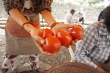 Con los mercados campesinos se rescatan la cultura rural y la econom&iacute;a de los cale&ntilde;os