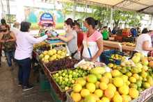 Con el mercado campesino se garantiza seguridad alimentaria a los cale&ntilde;os 