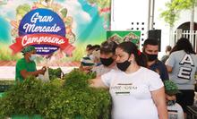 Balance del Gran Mercado Campesino evidencian la importante acogida que tuvo el evento