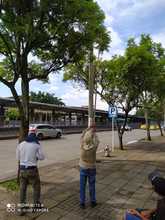 La recolecci&oacute;n de semillas, primer paso para sembrar vida en Cali