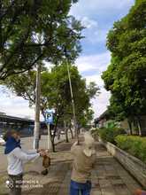 La recolecci&oacute;n de semillas, primer paso para sembrar vida en Cali