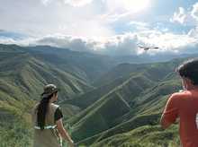 Tras recuperaci&oacute;n, b&uacute;ho rayado y &aacute;guila coliblanca fueron liberados por el Dagma