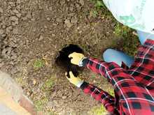 Una  amenaza que enfrentar en cualquier lugar del distrito de Santiago de Cali.