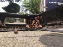 Una  amenaza que enfrentar en cualquier lugar del distrito de Santiago de Cali.