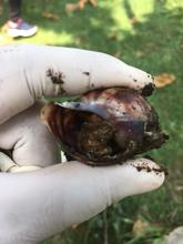 Una  amenaza que enfrentar en cualquier lugar del distrito de Santiago de Cali.