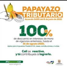 Regres&oacute; el &lsquo;papayazo tributario&rsquo; para el pago de infracciones de tr&aacute;nsito