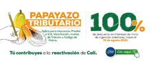 Papayazo tributario